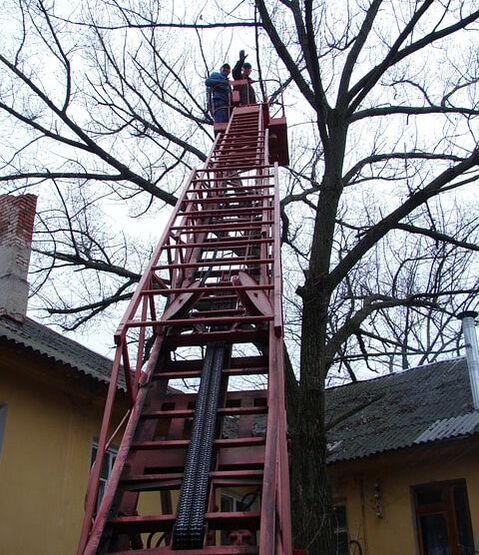 Arborists on top of a ladder in order to perform Emergency tree care