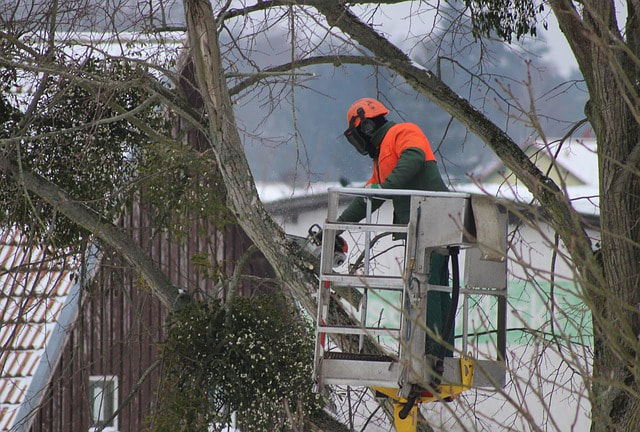 crane and bucket truck being utilized to remove branches from damaged tree